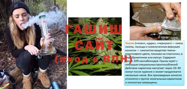 амф Верея