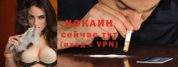 амф Верея