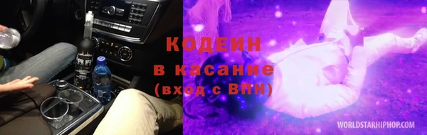 индика Слюдянка