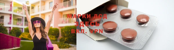 амф Верея