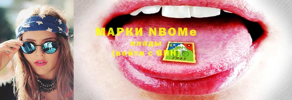 амф Верея